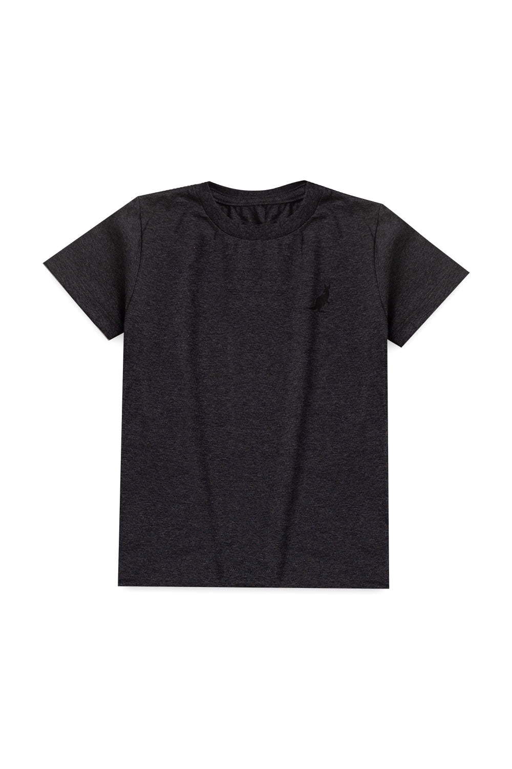 KANGULU DARK GRAY Boy T-Shirts + Shorts Set